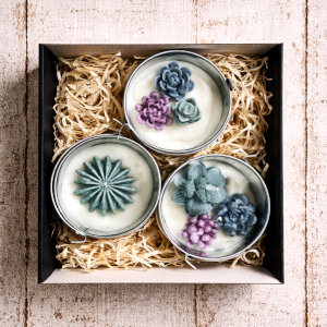 Sweet Succulents Garden Party